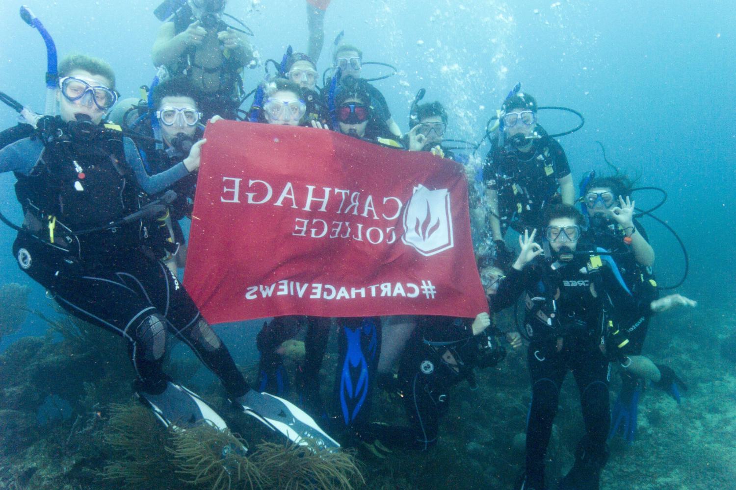 学生们手持<a href='http://xeoj.ngskmc-eis.net'>博彩网址大全</a>旗帜，在j学期洪都拉斯游学之旅中潜水.